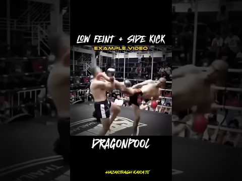 HOW TO LEARN LOW FEINT + SIDE KICK TUTORIAL 💥#shorts #trending #viral #reels #viralvideo #ytshorts