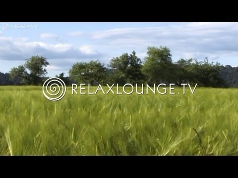 Erdenklang - Die Erdenklangstrasse 'Musik auf dem Weg zur Stille' Album