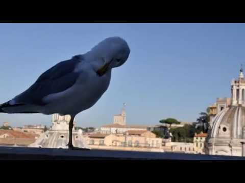 Monumento a Vittorio Emanuele II, Altare della Patria, Roma, novembro de 2017