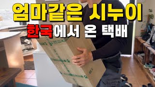 해외에서 ‘이거’ 있으면 반칙🖐️시누이 덕에 품격이 올라갔다 🇰🇷한국에서 시누이가 보내온 택배 | 뉴질랜드 가족힐링 브이로그
