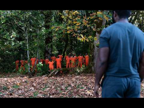 Official Teaser