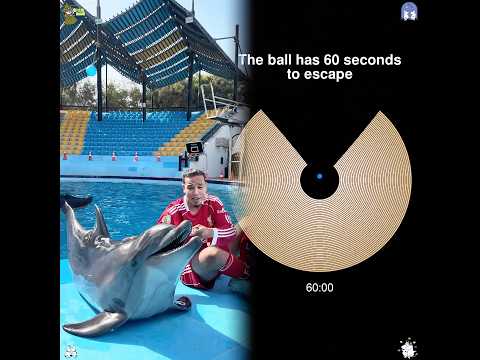 تحدي الكوره علي العارضه مع فان دايك واليسون ولوكا مودرتش وميسي وظهور نجم منتخب المغرب 🇲🇦😳🔥