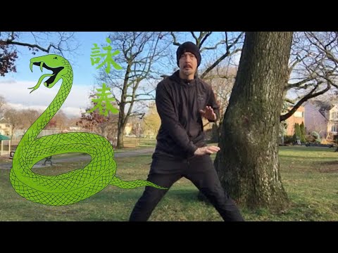 Chum Kiu Step by Step