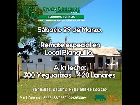 29/3/2025 Blanquillo - Durazno - Yeguarizos y lanares - Fredy González y Cía Ltda - Diego Prego