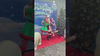 Winter Wonderland Gainesville FL 2023!
