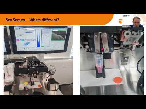 Webinar Part 2 - Discussing Sexed Semen This Breeding Season