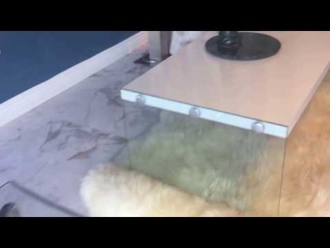 Chrissy second session at The Sugar Spa