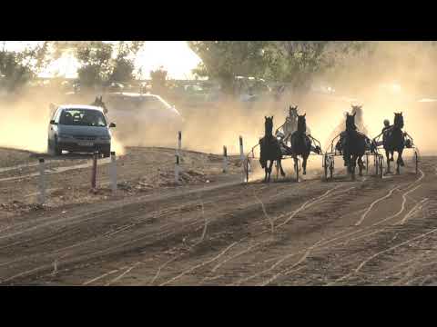 Trka "MZ Lozovik" 07.10.2017 Cybele de Tedd-Aleksandar Bogdanović