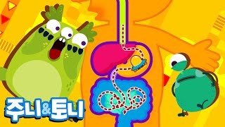 몸 속 여행ㅣ음식의 소화 과정ㅣ외계인의 몸 속 여행 | 인체동요 | 주니토니 by 키즈캐슬