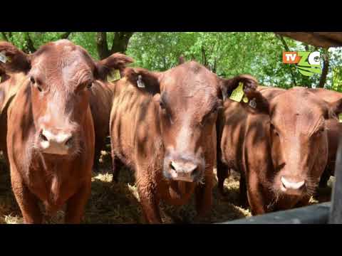 Cabaña "Don Romeo" Remate Anual 2019