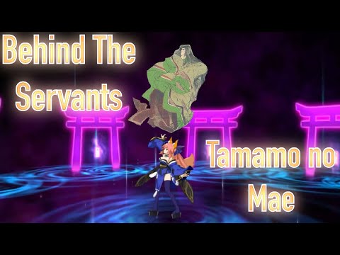 Behind The Servants: Tamamo no Mae