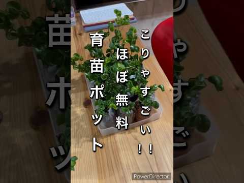 園芸 アイビー、生物多様性にとって有益な植物