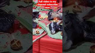 Download lagu kali puja bali 2022 mp3