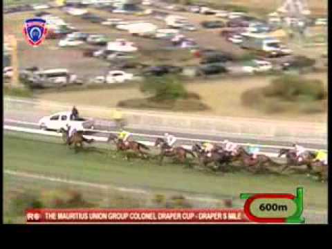 Master Mascus (286) - G.Faucon