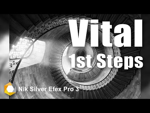 Important First Steps When Using Silver Efex Pro
