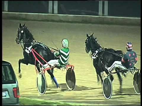 Trotto 02/12/2015 - 7° corsa