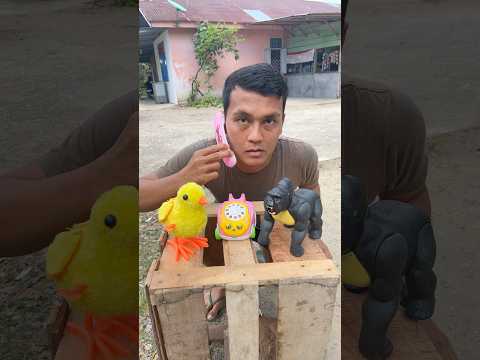 Hey Hey #shorts #trending #funny #subscribe
