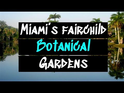 Fairchild Botanial Gardens in Miami