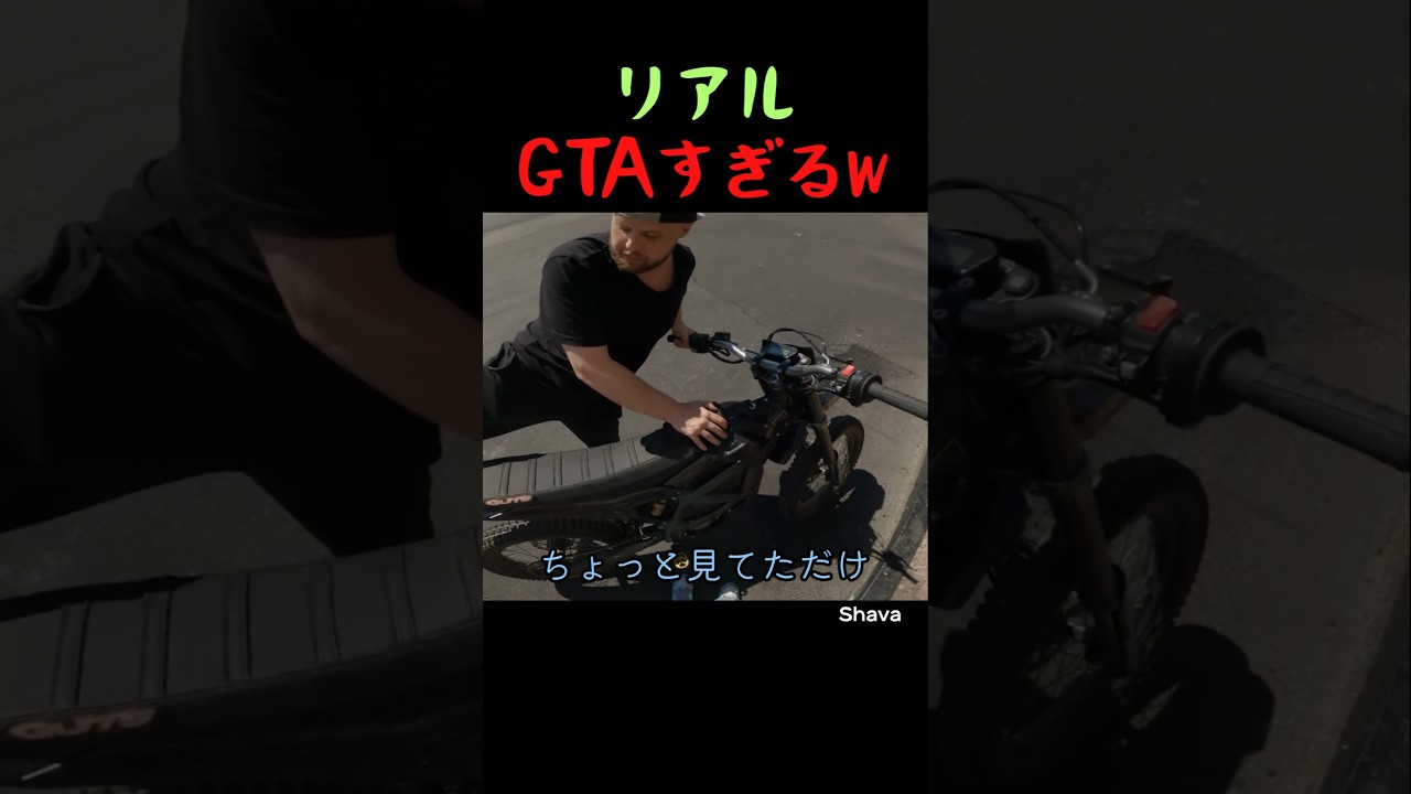 リアルGTAすぎる