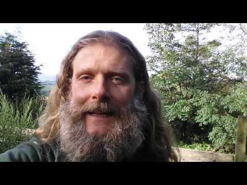 Healing Sickness - The Importance of Joy in Healing Illness