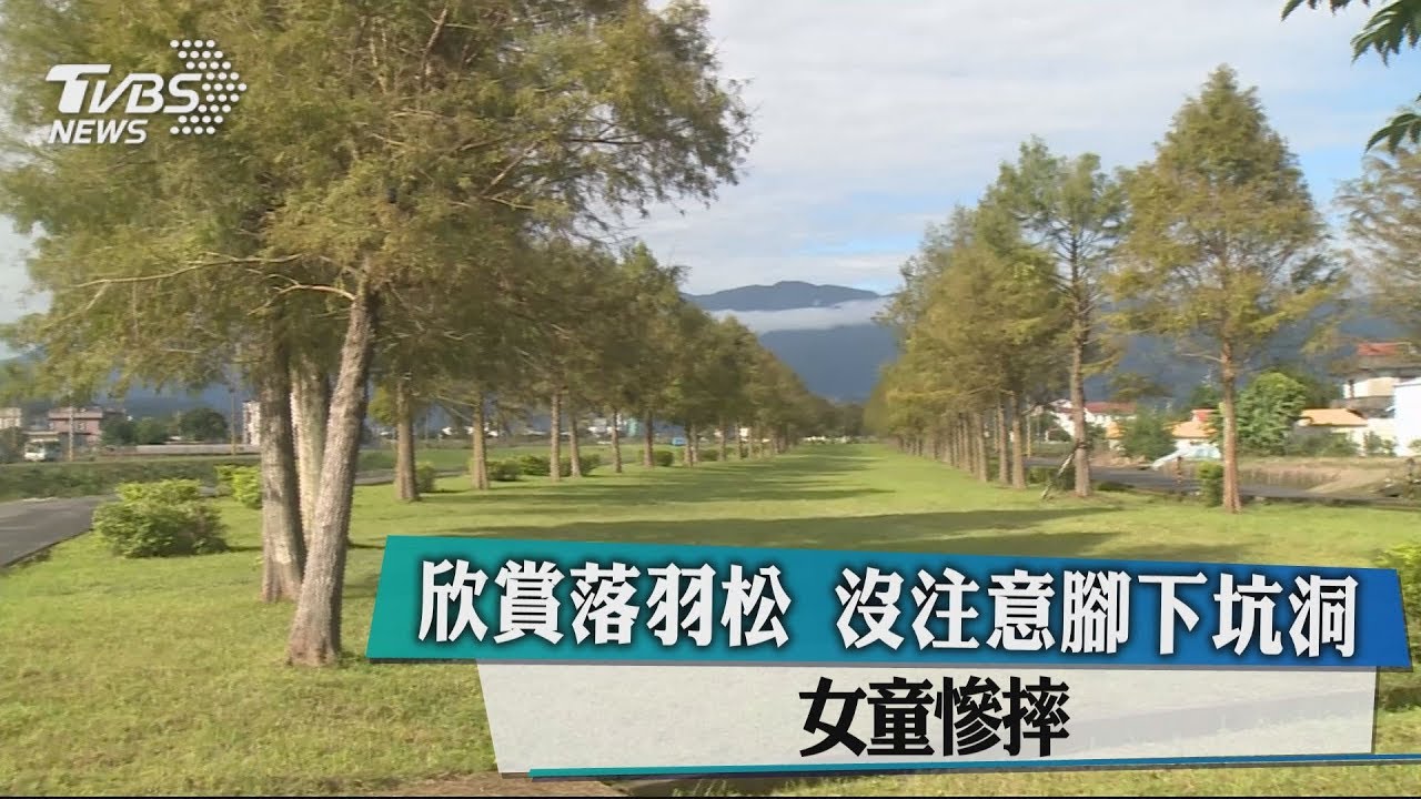 欣賞落羽松　沒注意腳下坑洞　女童慘摔 