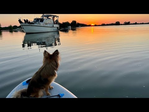 Die schönsten Ankerplätze rund um Werder/Havel. LeinenLos!! Teil 1