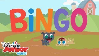 Bingo 🐶  | 🎼  Disney Junior Music Nursery Rhymes | Disney Junior