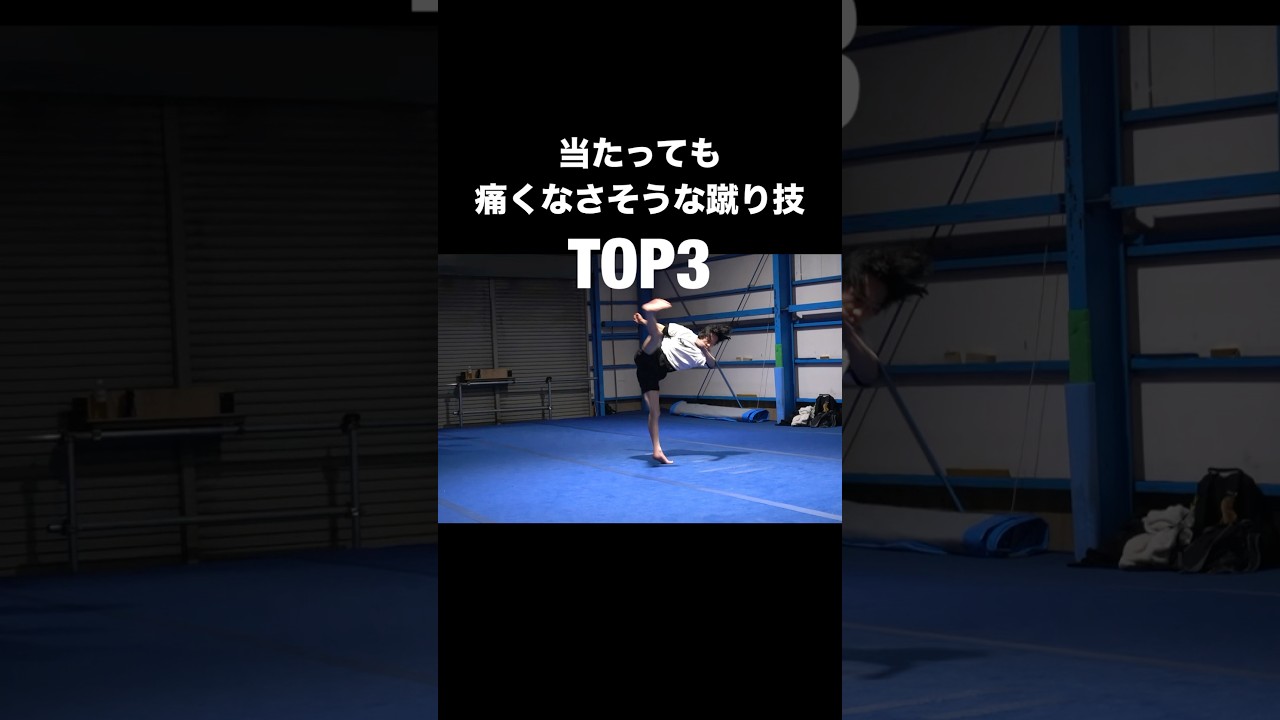 威力の無さそうな蹴り技ランキング