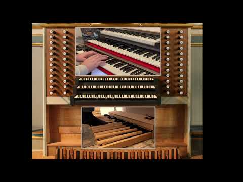[Pipe Organ] Fantasia No. 21 I Frano Milic