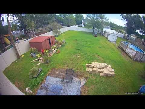 Lawn Love - Thieves!! - Image 3