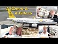 AMAZING BRUNEI A320neo Ceo ULTIMATE SERVICE Alligators Wild Monkeys AirClips