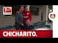 Chicharitomania - A day in the life of a superstar