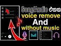 How To Remove Vocals From Any Song How To Use Moises App Moises App Tutorial Moises App 2023