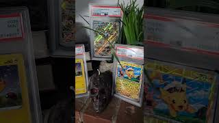 These Fresh PSA Slabs Are INSANE 😮‍💨🔥⚡️ #pokemoncards #psa10 #pokemon #pokemontcg #pokemoncommunity