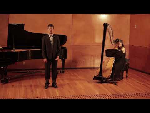 Der Tod und das Mädchen/ Schubert #harpandvoice #winterreise #schubert #harfeundgesang #harfe #harp