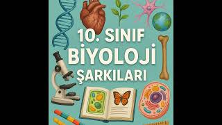 id02495   10  Sınıf Biyoloji   Bezelyelerden İnsanlara  Mendel Genetiği ve Kalıtımın Temel Kuralla