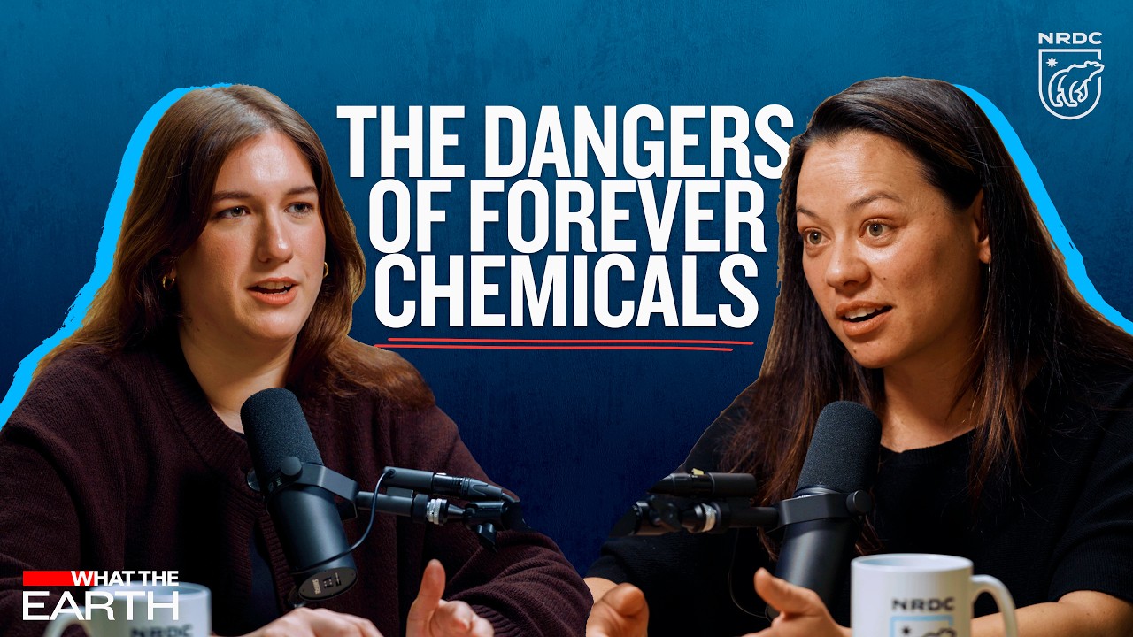 Toxic PFAS “Forever Chemicals” Are Everywhere | What the Earth, Episode 15