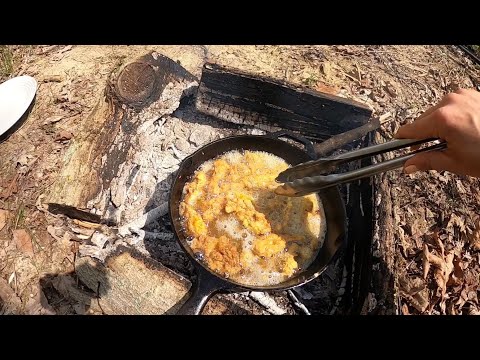 Finding and Cooking Up Morel Mushrooms