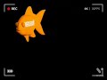 Nickelodeon Fish Dvd Logo Rec