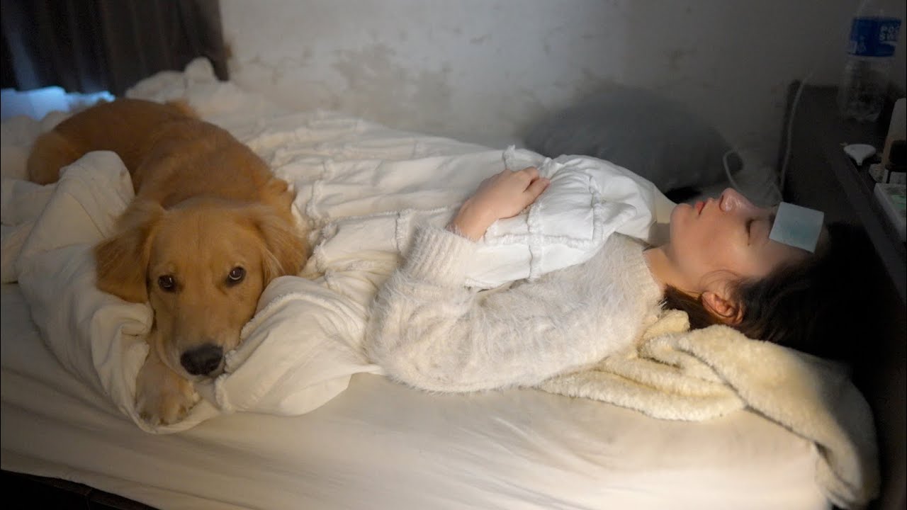 体調不良のママの傍から愛犬が離れません・・・