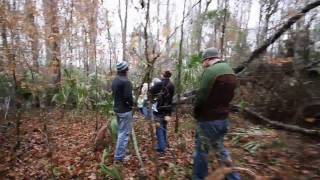 Trekking Through the Florida Swamps