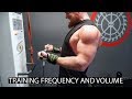 Shoulders and Arms, Training Frequency and Working Volume