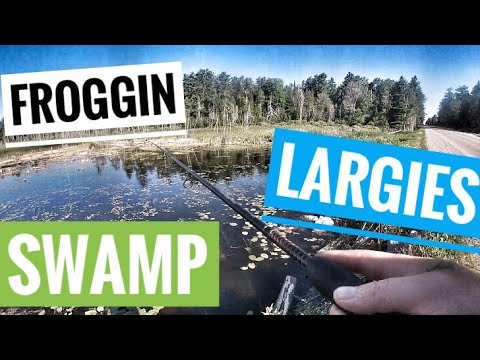 FROGGIN SWAMP LARGIES(using Lunkerhunt top water frog for LARGE MOUTH BASS)