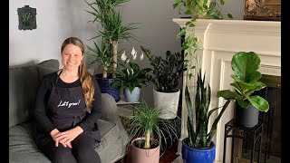 Let's Grow: Best Indoor Plants for Winter ENGLISH GARDENS