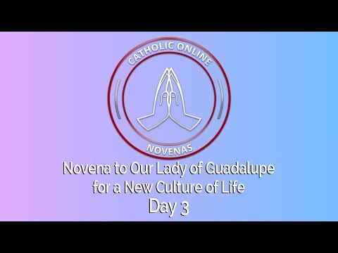 Click to Watch the Day 3 - Novena to Our Lady of Guadalupe for a New Culture of Life video