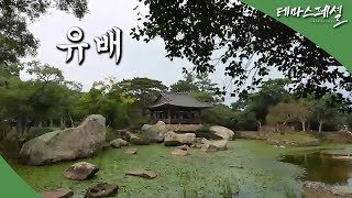 [#테마스페셜] 유배, 새로운 세상의 문 / G1 방송 / 2026.01.24