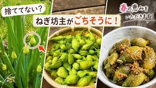 捨ててない？ねぎ坊主がごちそうになる簡単レシピ