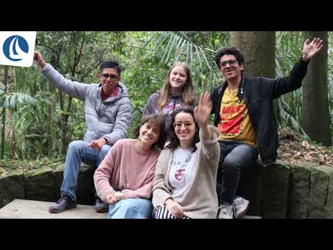 Integración asociados junior 2023