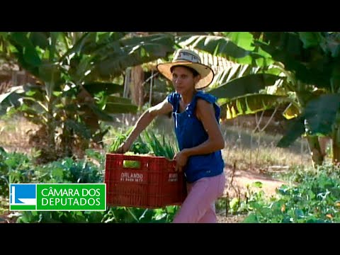 Projeto facilita previdência especial para mulheres do campo - 06/11/23