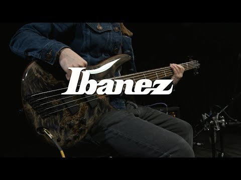 5-струнная бас-гитара IBANEZ SRMS805 DTW - фото 1 - id-p1875281698
